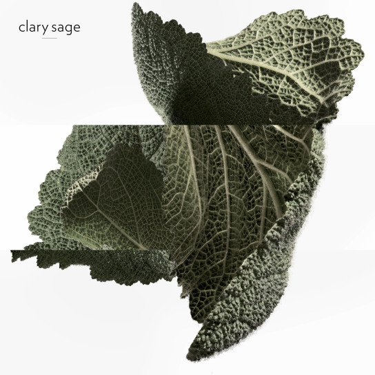 H24 EAU DE PARFUM REFILLABLE 5