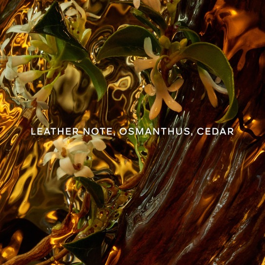 ABSOLUS ALLEGORIA CUIR INTENSE EAU DE PARFUM 2