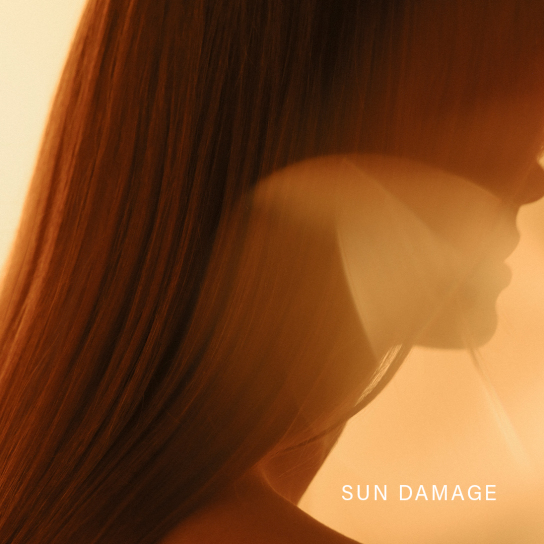 PROTECTIVE SHIELD MIST 2