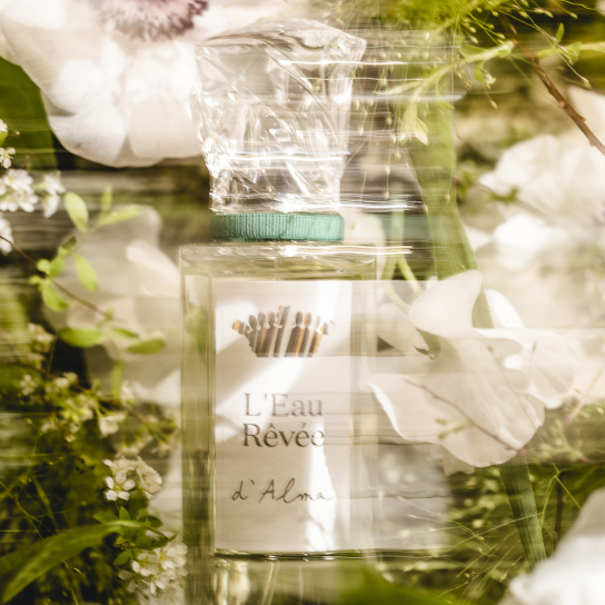 L'EAU RÊVÉE D'ALMA 2