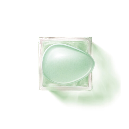 ARMANI PRIVÉ THE YULONG 4