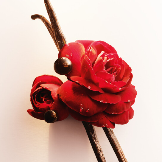 SÌ EAU DE PARFUM INTENSE 4