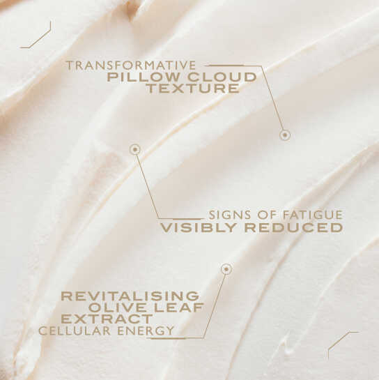 LANCASTER 365 SKIN REPAIR LIPOSOMAL CELLULAR NIGHT CREAM 3