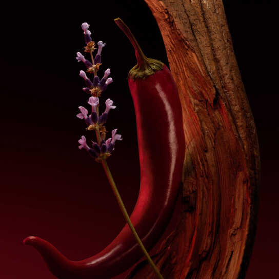 BOSS THE SCENT ELIXIR PARFUM INTENSE FOR HIM 2