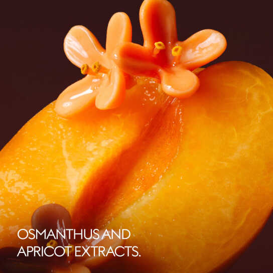 THE ALCHEMIST'S GARDEN OSMANTHUS NECTAR EAU DE PARFUM 2