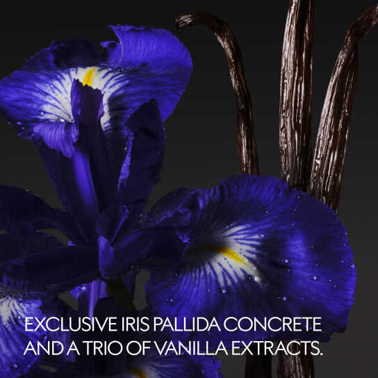 THE ALCHEMIST'S GARDEN VANILLA FIRENZE EAU DE PARFUM 2