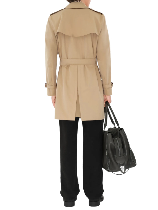 ΑΝΔΡΙΚΗ ΚΑΜΠΑΡΝΤΙΝΑ 2