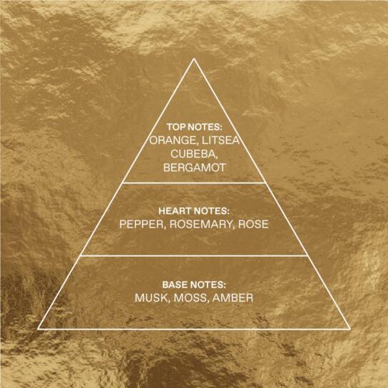 ΣΕΤ MOUNTAIN PEPPER EAU DE TOILETTE + ΑΦΡΟΛΟΥΤΡΟ 3