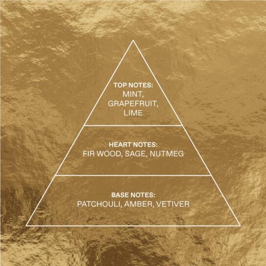 ΣΕΤ BLUE SAGE EAU DE TOILETTE + ΑΦΡΟΛΟΥΤΡΟ 3