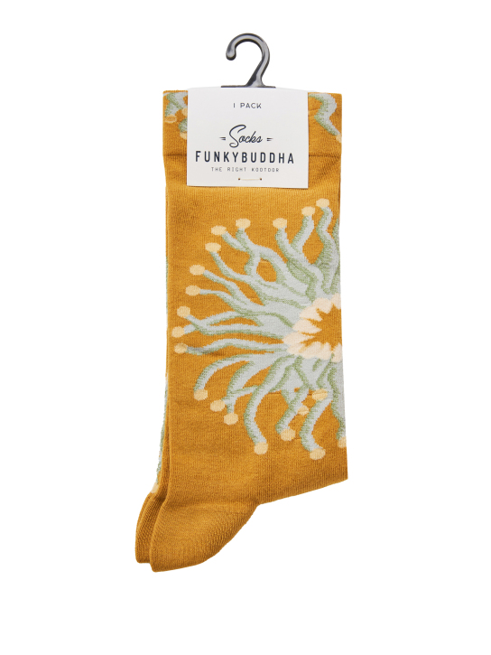 ΓΥΝΑΙΚΕΙΕΣ ΚΑΛΤΣΕΣ 1