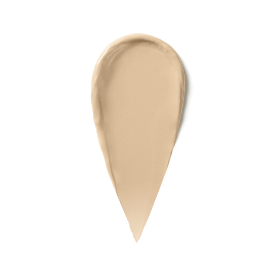 SKIN FULL COVER CONCEALER 1
