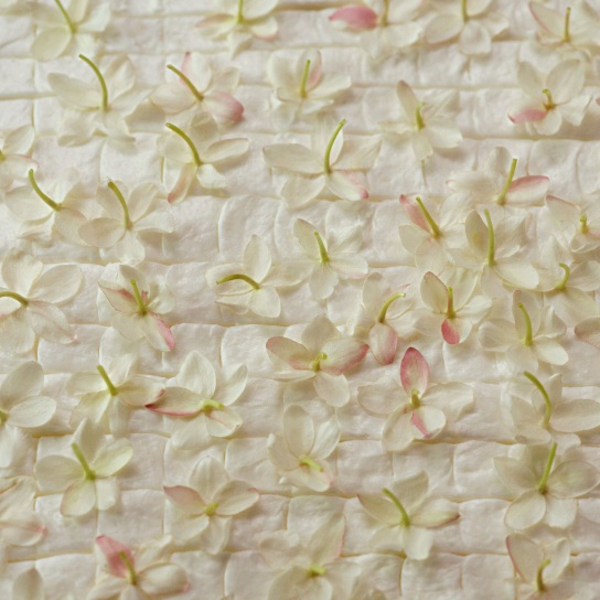 GELSOMINO A FREDDO EAU DE PARFUM 4