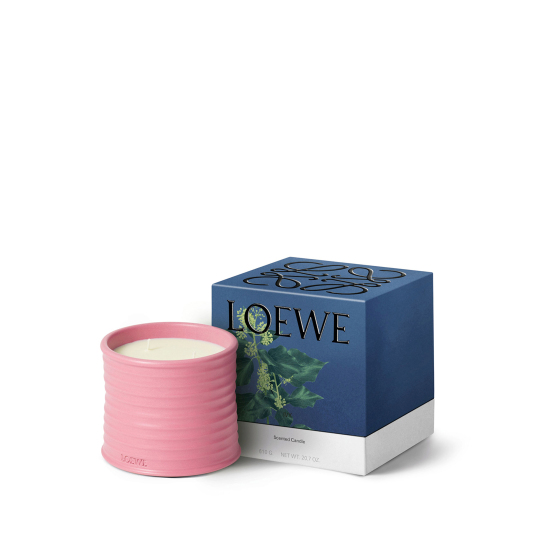 IVY  MEDIUM SCENTED CANDLE 1