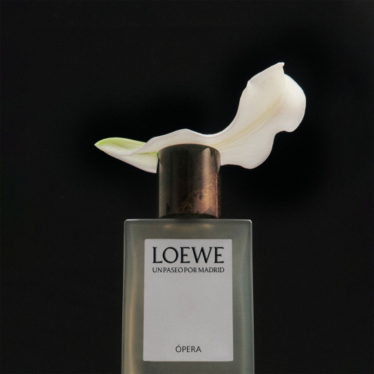 LOEWE UN PASEO POR MADRID OPERA EAU DE PARFUM 3