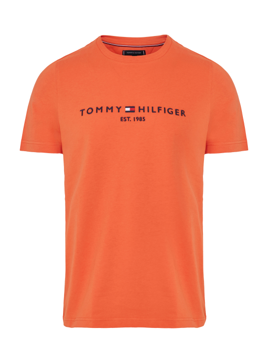 ΑΝΔΡΙΚΟ T-SHIRT ΜΕ ΛΟΓΟΤΥΠΟ 3