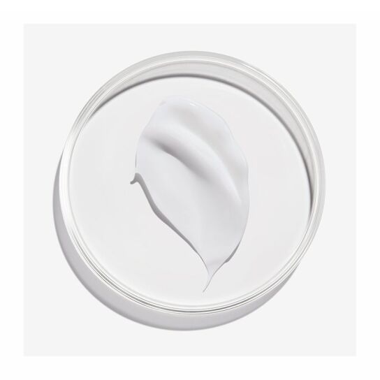 FRIZZ DISMISS LEAVEIN ΚΡΕΜΑ ΛΕΙΑΝΣΗΣ ΚΑΤΑ ΤΟΥ ΦΡΙΖΑΡΙΣΜΑΤΟΣ 2