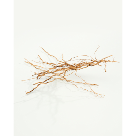 CK EVERYONE EAU DE PARFUM 6