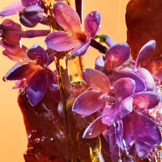 BVLGARI ALLEGRA ROCK'N'ROME EAU DE PARFUM  5