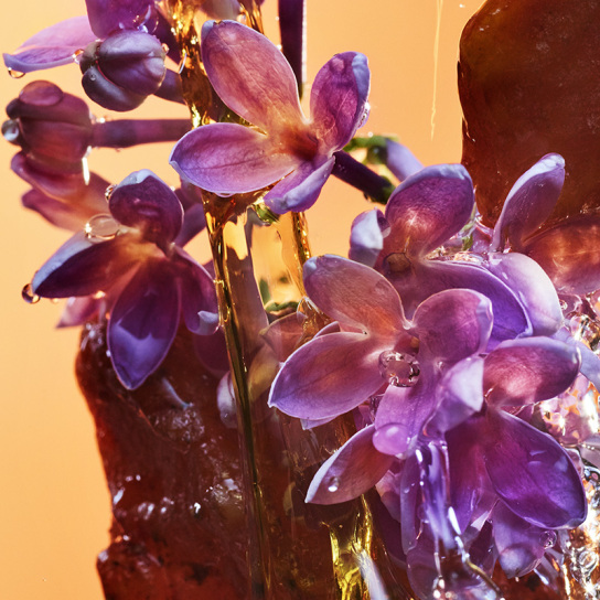 BVLGARI ALLEGRA ROCK'N'ROME EAU DE PARFUM  7