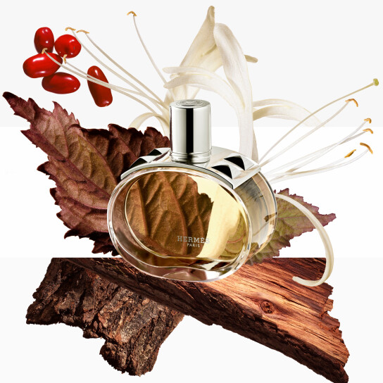 BARÉNIA EAU DE PARFUM 5