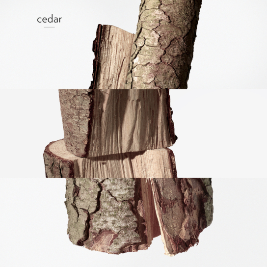 TWILLY D'HERMÈS EAU GINGER EAU DE PARFUM 6