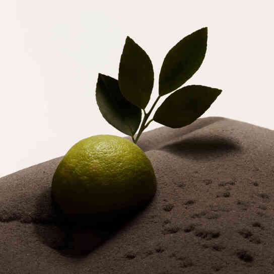 BURBERRY HERO EAU DE TOILETTE MEN 7