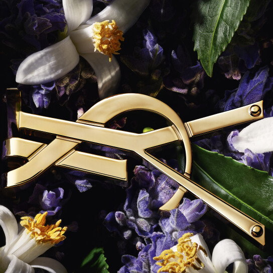 LIBRE EAU DE TOILETTE 2