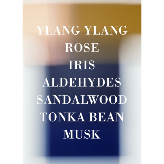 IRIS POUDRE PERFUME 2