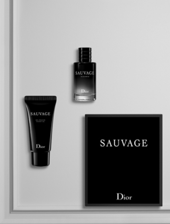 DIOR SAUVAGE TRAVEL ΚΙΤ ΑΝΔΡΙΚΗΣ ΠΕΡΙΠΟΙΗΣΗΣ 0