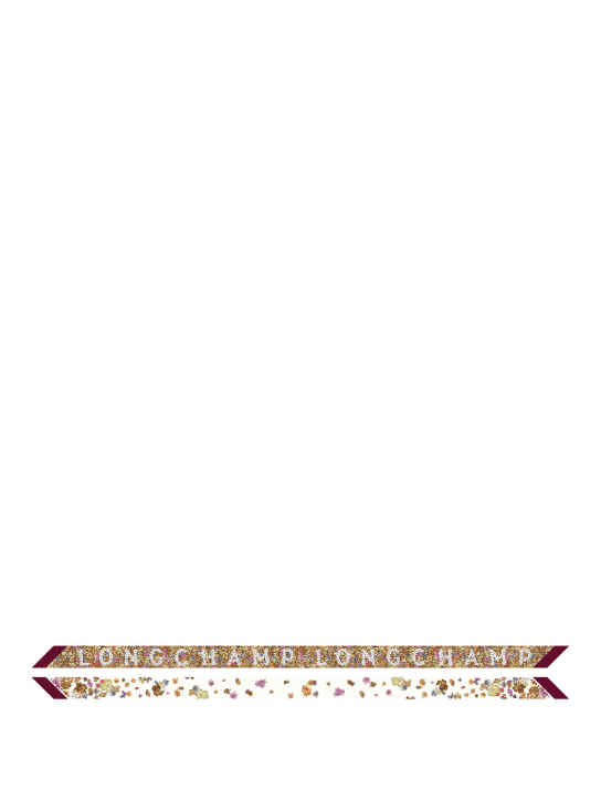 ΓΥΝΑΙΚΕΙΟ ΜΕΤΑΞΩΤΟ ΦΟΥΛΑΡΙ FRISE FLEURIE HEADBAND 0