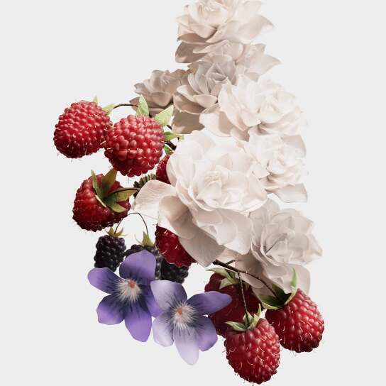 BURBERRY HER EAU DE PARFUM WOMEN 4