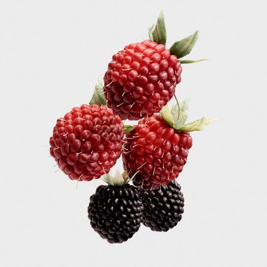 BURBERRY HER EAU DE PARFUM WOMEN 6