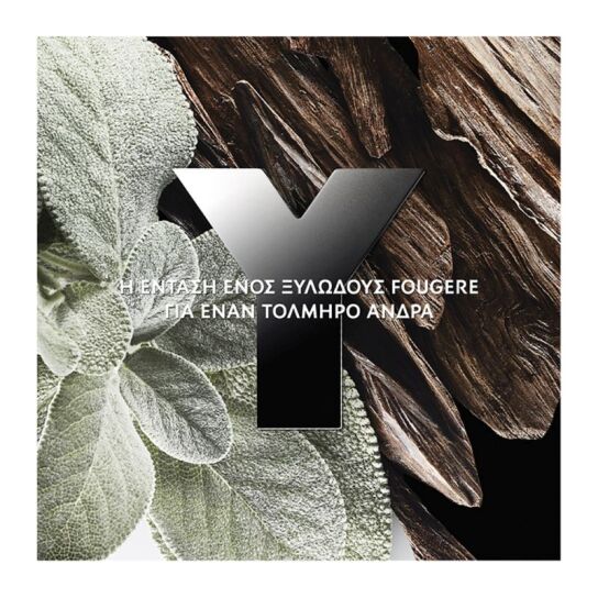 Y EAU DE PARFUM 12