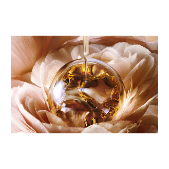 ABSOLUE THE SERUM 6