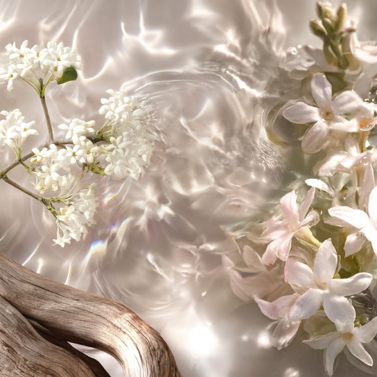 LANCASTER JASMINE SUNSET BODY & HAIR FRAGRANCE MIST 236ML 3