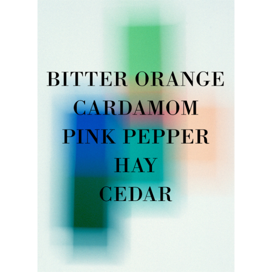 BIGARADE CONCENTREE PERFUME 6
