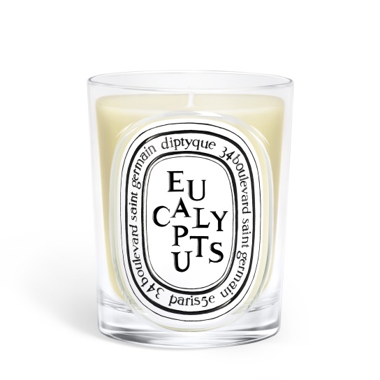 EUCALYPTUS SCENTED CANDLE 0