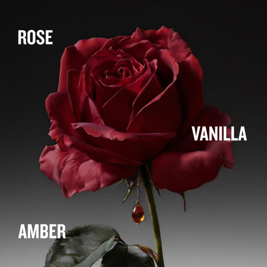 THE COVETED DUCHESS ROSE INTENSE EAU DE PARFUM 2