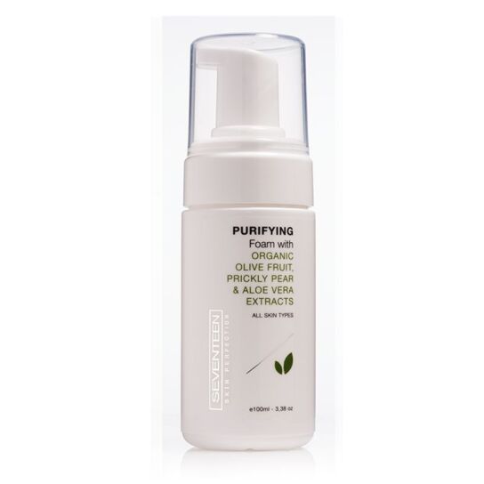 PURIFYING FOAM 2