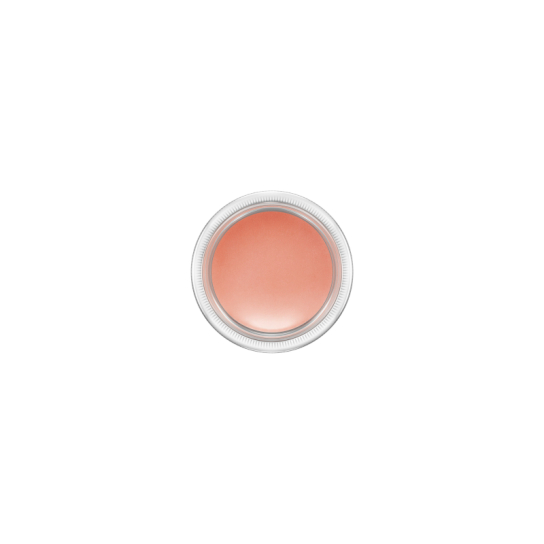 PRO LONGWEAR PAINT POT 3