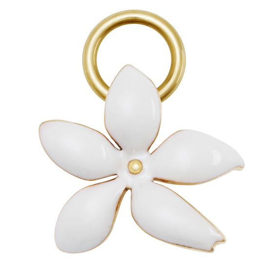 JASMINE 5