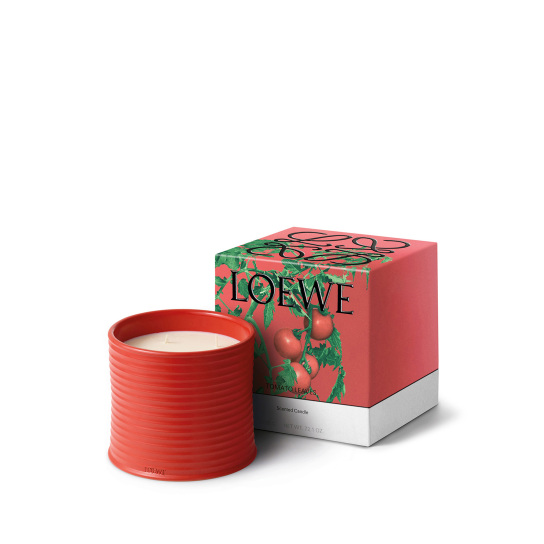 TOMATO LARGE SCENTED CANDLE 1